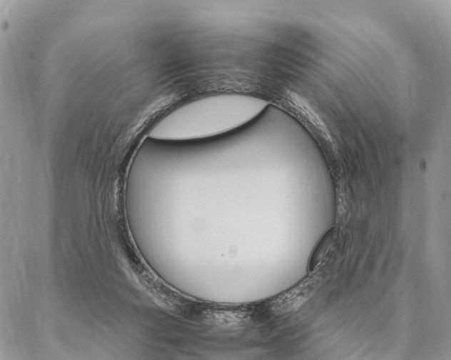 X0000087390163200704200936