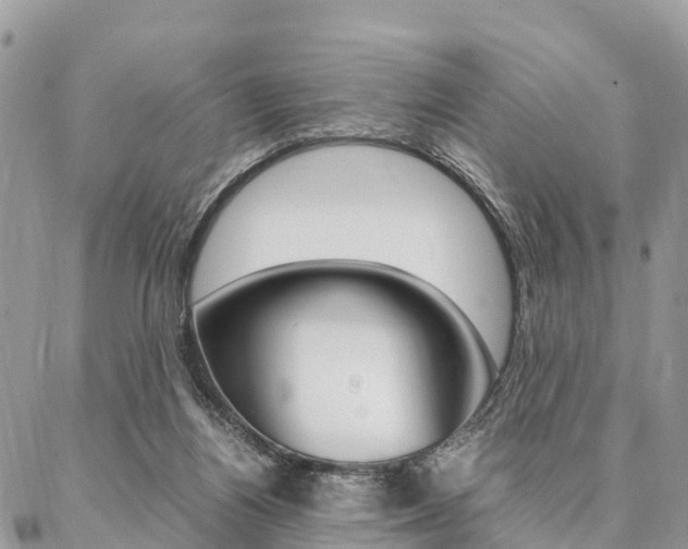 X0000087390164200704200936