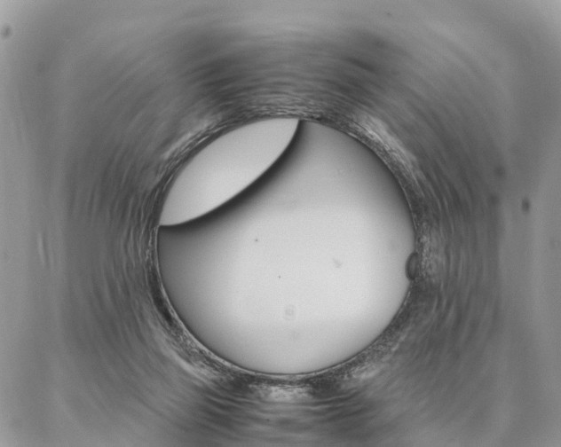 X0000087390165200704200937