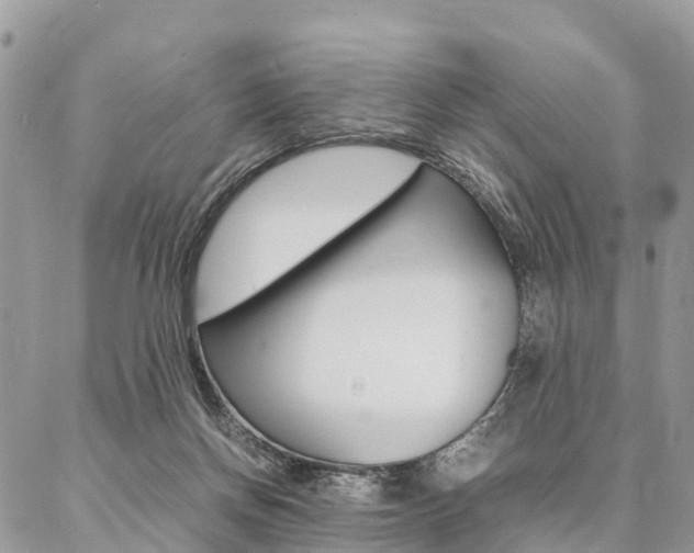 X0000087390166200704200937