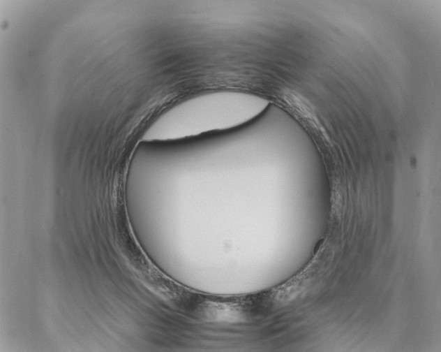 X0000087390167200704200937