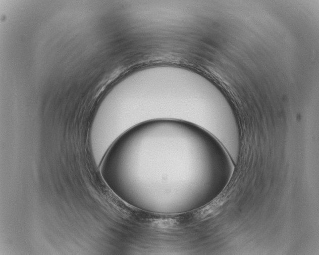 X0000087390168200704200937