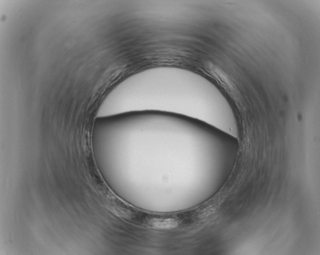 X0000087390169200704200937