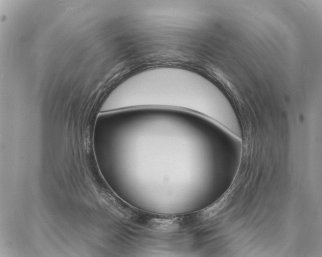 X0000087390170200704200937