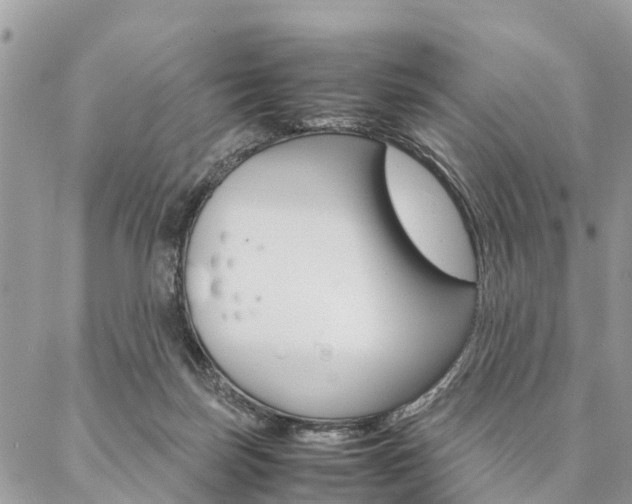 X0000087390171200704200937