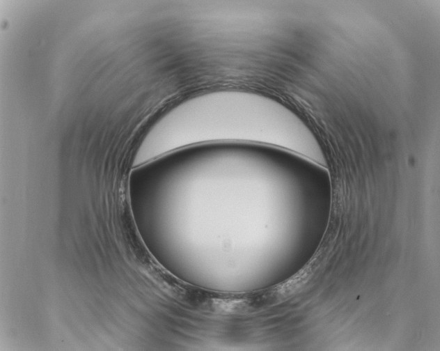 X0000087390172200704200937