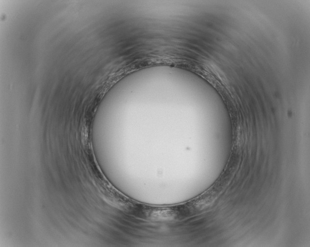 X0000087390173200704200937