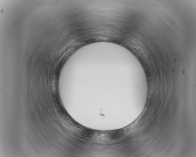 X0000087390174200704200937