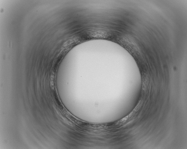 X0000087390175200704200937