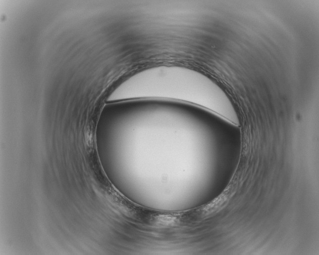 X0000087390176200704200937