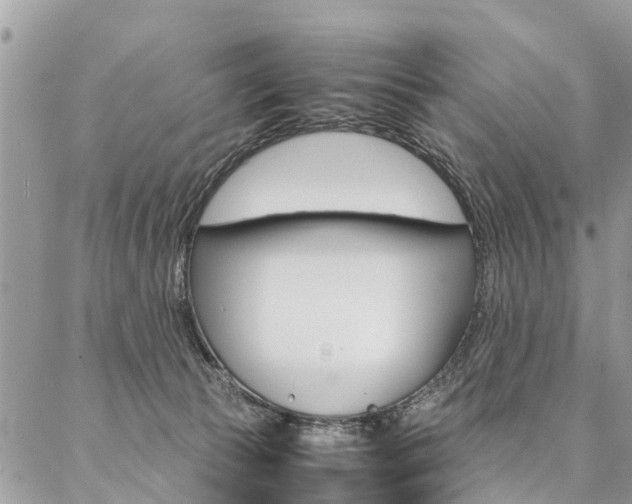 X0000087390177200704200937