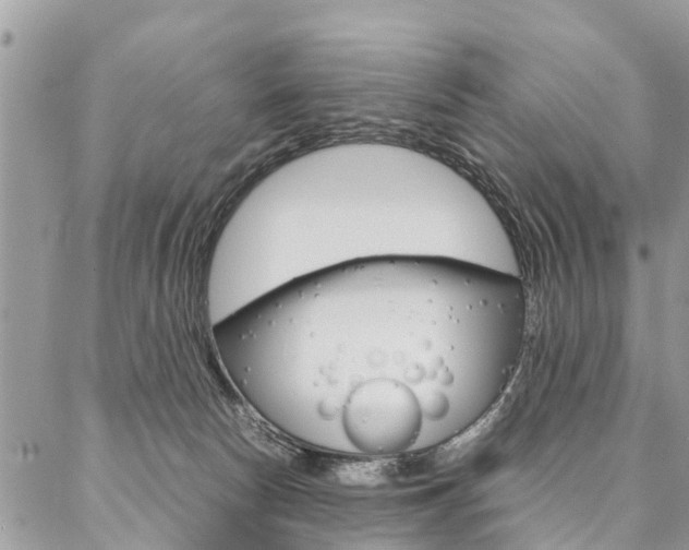 X0000087390178200704200937