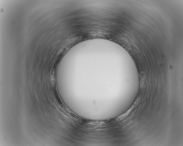 X0000087390179200704200937