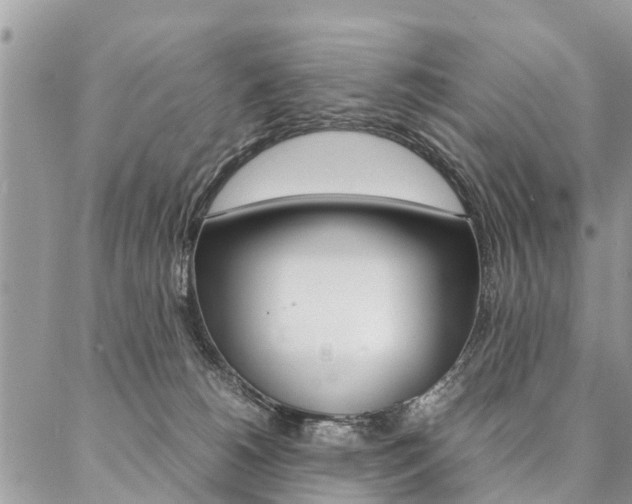 X0000087390180200704200937