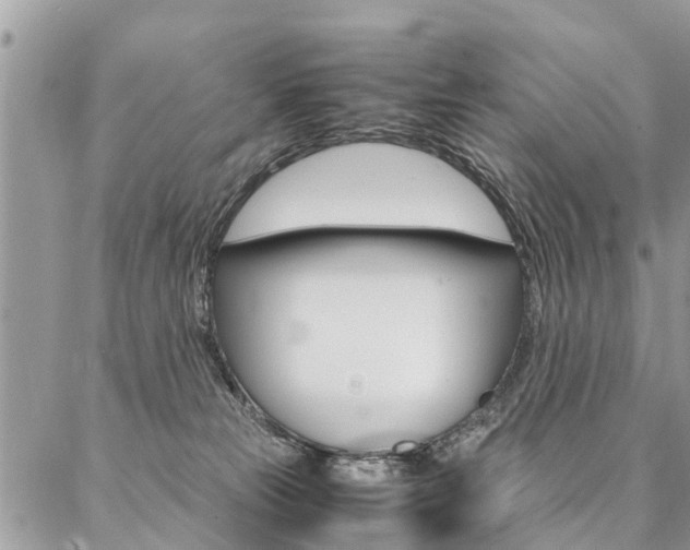 X0000087390181200704200937