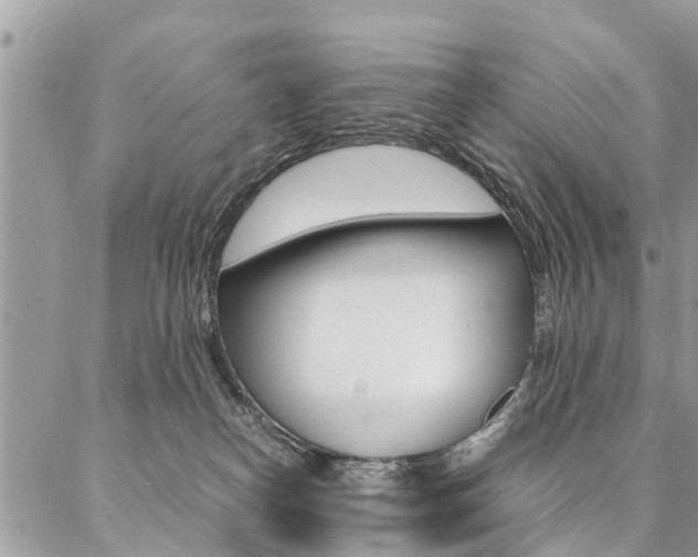 X0000087390182200704200937