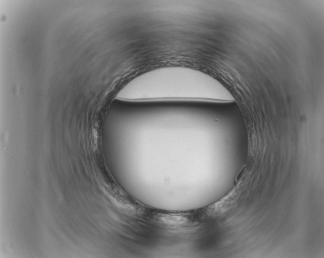 X0000087390183200704200937