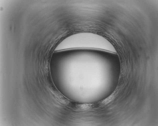 X0000087390184200704200937