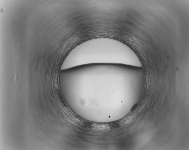 X0000087390185200704200937