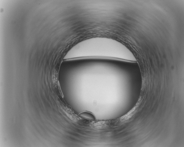 X0000087390186200704200937