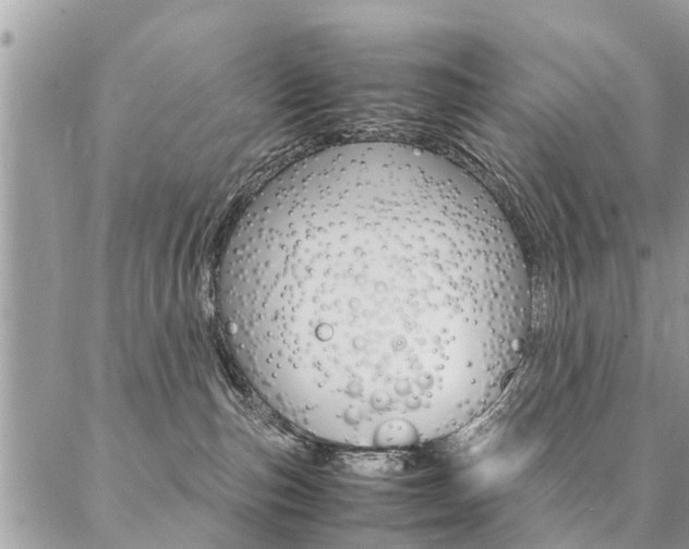 X0000087390187200704200937