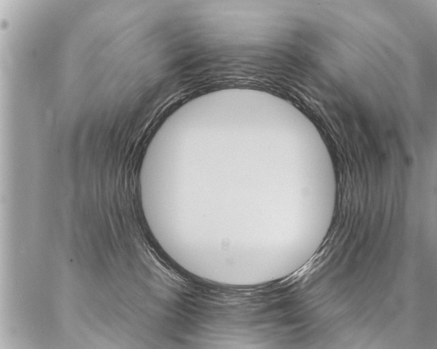 X0000087390188200704200937