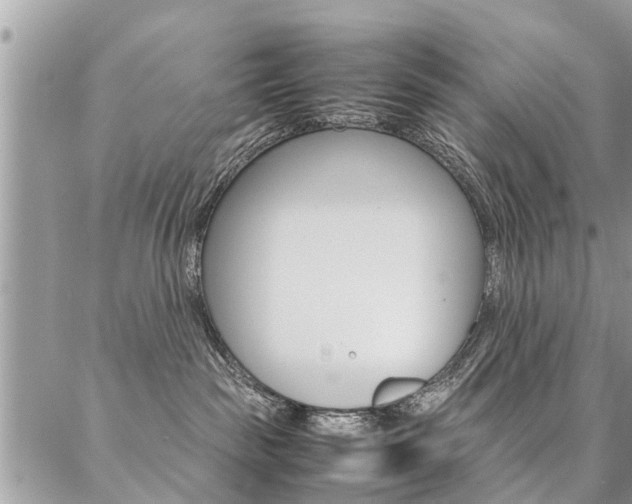 X0000087390189200704200937