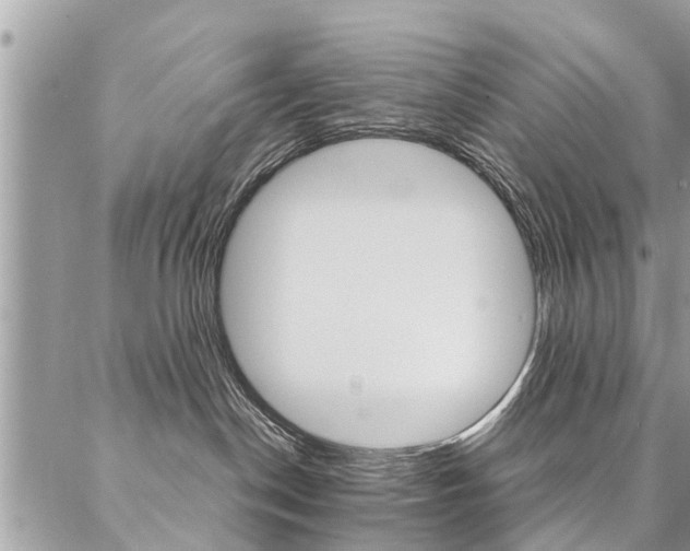 X0000087390190200704200937