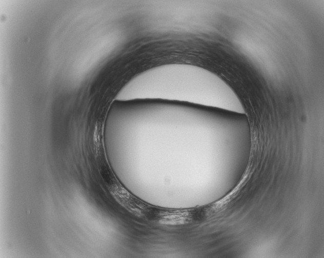 X0000087390191200704200937