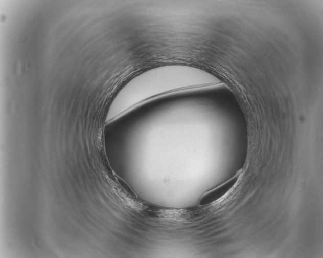 X0000087390192200704200937