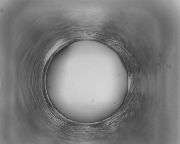 X0000087390195200704200936