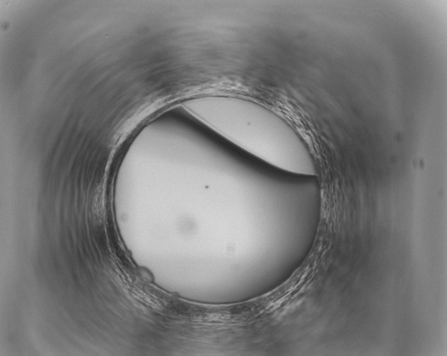 X0000087390196200704200936