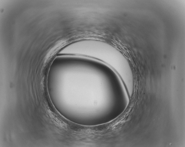 X0000087390197200704200936