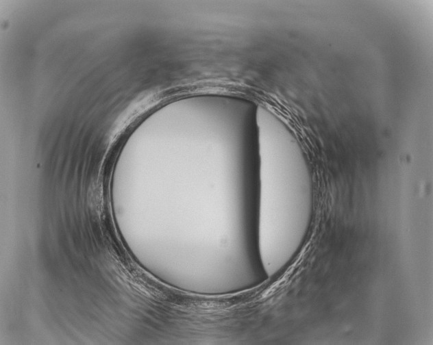 X0000087390198200704200936