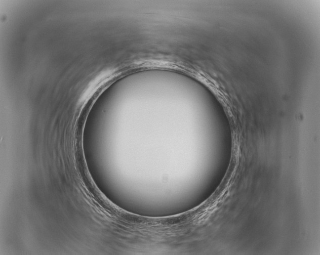 X0000087390199200704200936