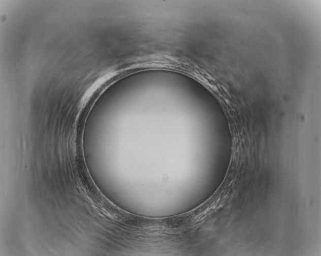 X0000087390200200704200936