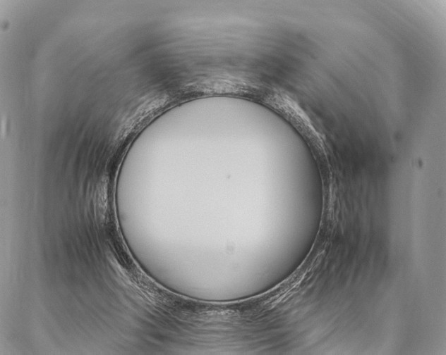 X0000087390202200704200936