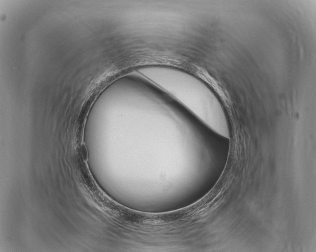 X0000087390203200704200936