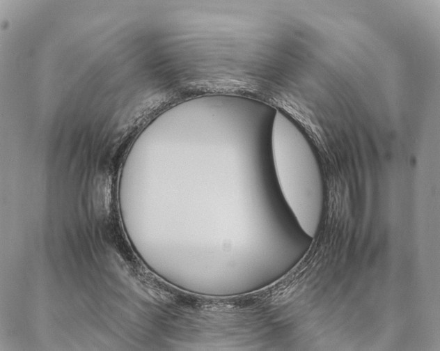 X0000087390206200704200936