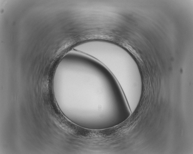 X0000087390207200704200936