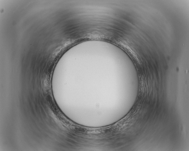 X0000087390208200704200936