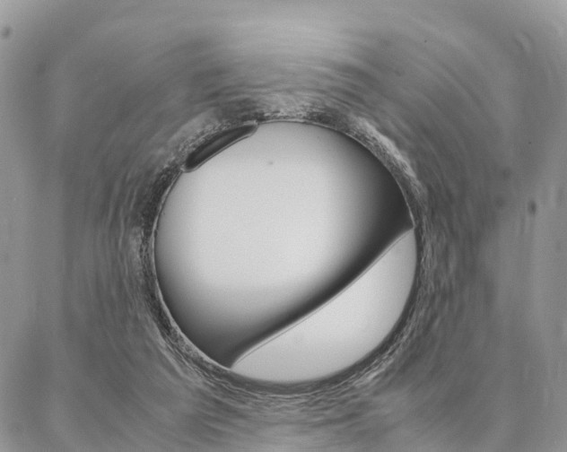 X0000087390209200704200936