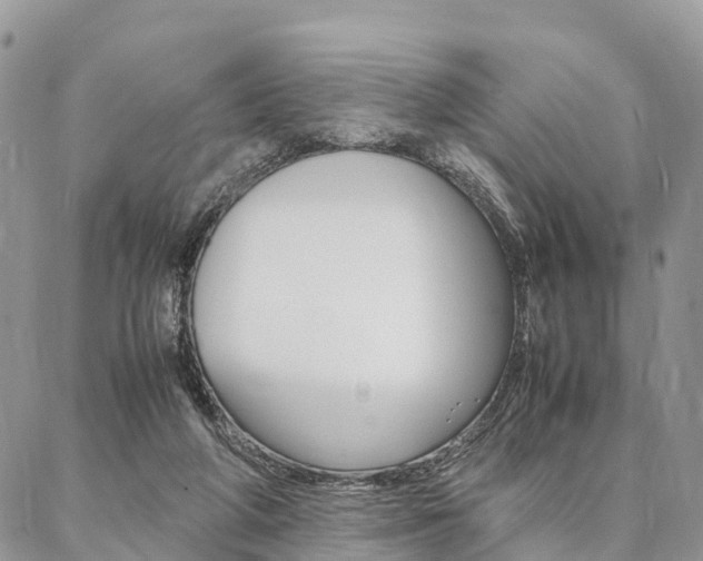 X0000087390210200704200936