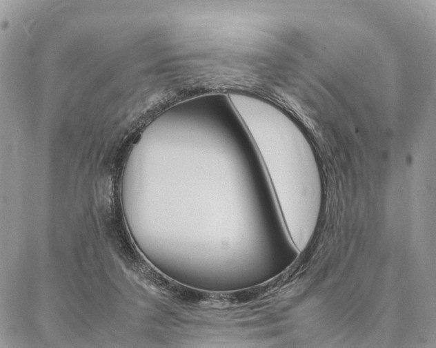 X0000087390211200704200936