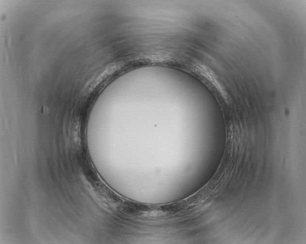 X0000087390212200704200936