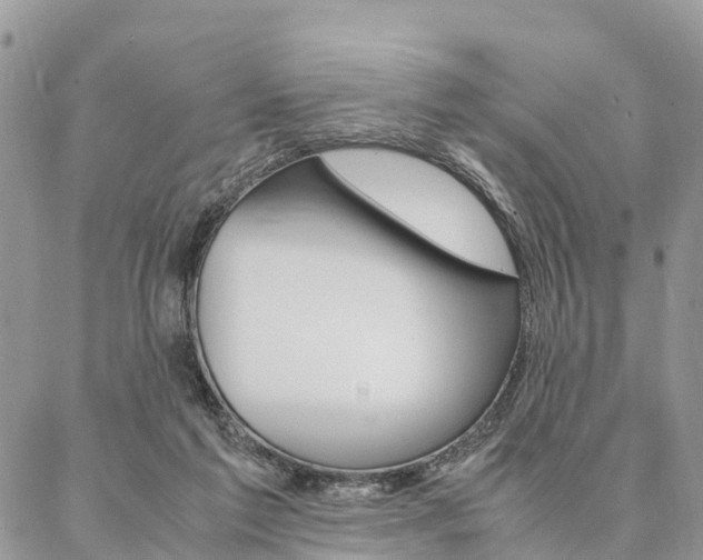 X0000087390213200704200936