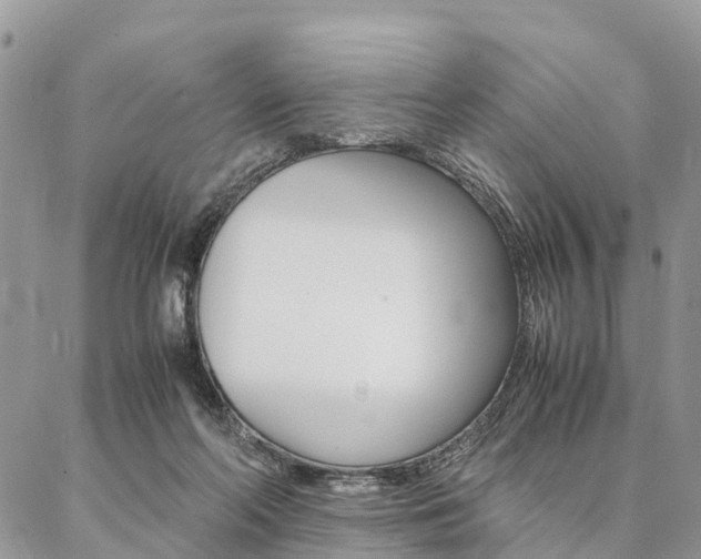 X0000087390214200704200936