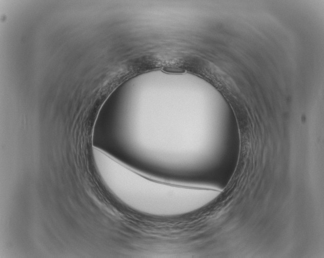 X0000087390215200704200936