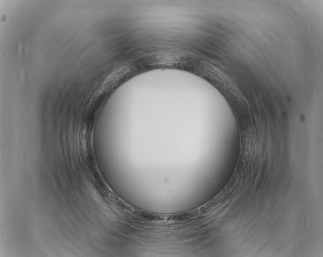 X0000087390216200704200936