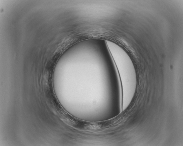 X0000087390217200704200936